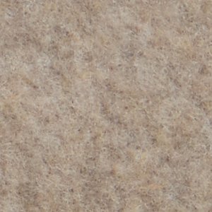 Angelfish 1 Eye Boat Shoe - Image 7