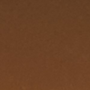 Saltwater??1 Eye Duck Shoe - Image 7