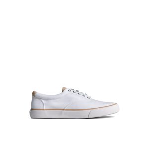 SeaCycled? Striper II CVO Twill Sneaker