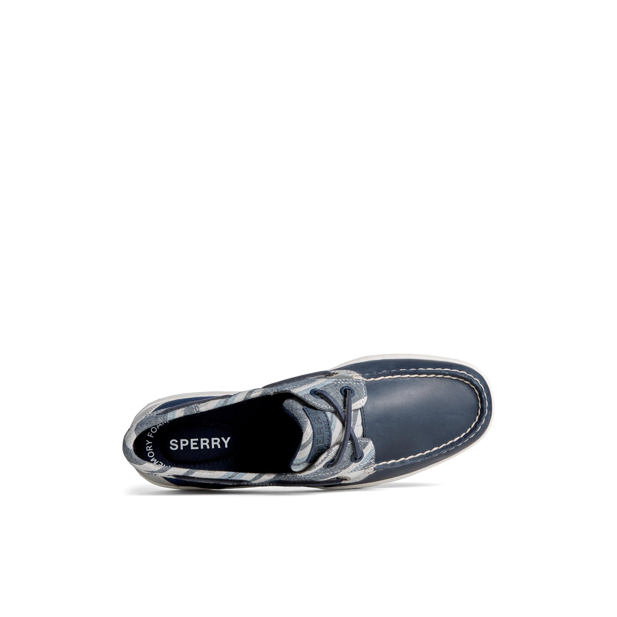 Bluefishlurx_wm - Image 5